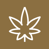 Drug Possession